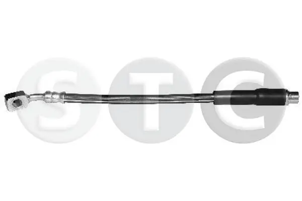 T496131 