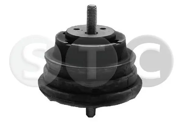 T404881 