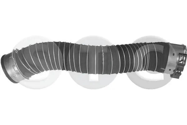 T409594 
