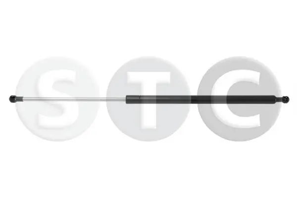 T446256 