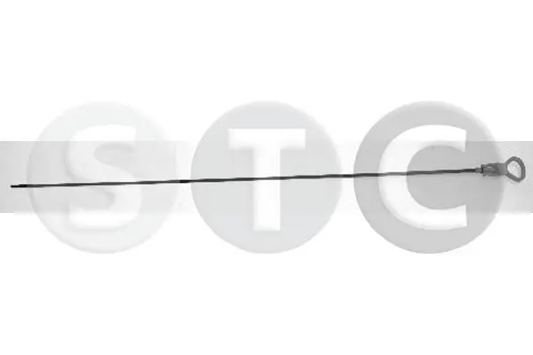 T404754 