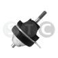 STC T405135