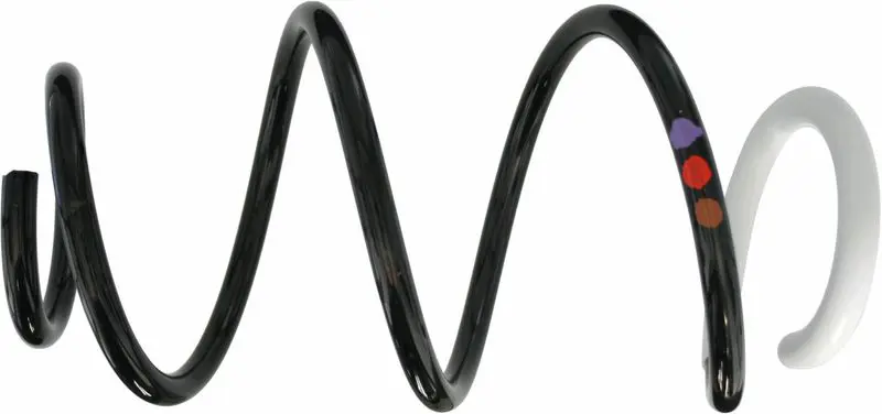 SACHS 993920 Пружина ходовой части