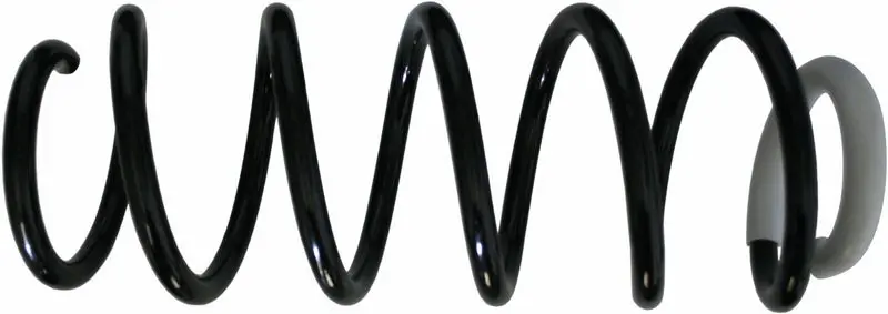 SACHS 993666 Пружина