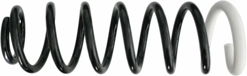 SACHS 994771 Пружина