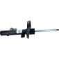 Sachs 313283