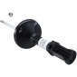 Sachs 315539