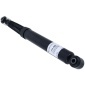 SACHS 313683