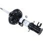 SACHS 313926