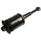 Sachs 317325