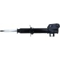 SACHS 312863