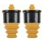 SACHS 900313