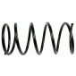 998246 SACHS COIL SPRING