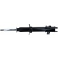 SACHS 312862