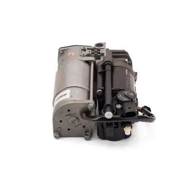 ARNOTT P2830 Компрессор, пневматическая