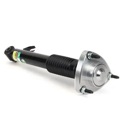 ARNOTT SK3606 Аммортизатор зад прав. 