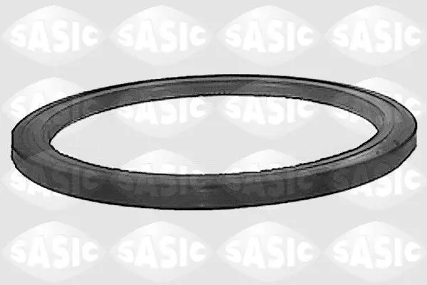 SASIC 1190140 Уплотняющее кольцо