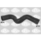 Sasic 3330039