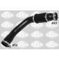 Sasic 3336061