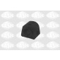 SASIC 2300024