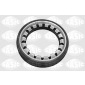 SASIC 1950001