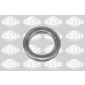 SASIC 1950009