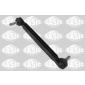 SASIC 2306257