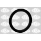 SASIC 1950011
