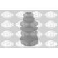 SASIC 2656039