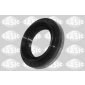 SASIC 1954012