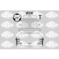 SASIC 1900036