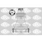 SASIC 1904048