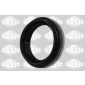 SASIC 1954018