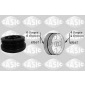 SASIC 2156034