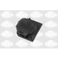 SASIC 2950003