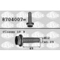 SASIC 8704007