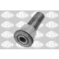 SASIC 2250014