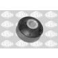 SASIC 2256212