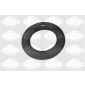 SASIC 4001583
