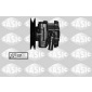 SASIC 7076041