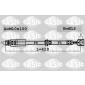 SASIC 6606083