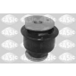 SASIC 2250031