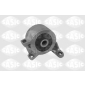 Sasic 9002459