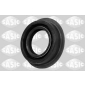 SASIC 1950013