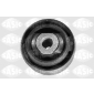 SASIC 4001703