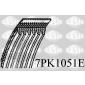 SASIC 7PK1051E