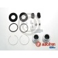 Seinsa Autofren D41577C