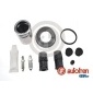 Seinsa Autofren D42417C
