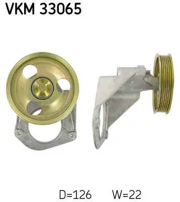 VKM33065 