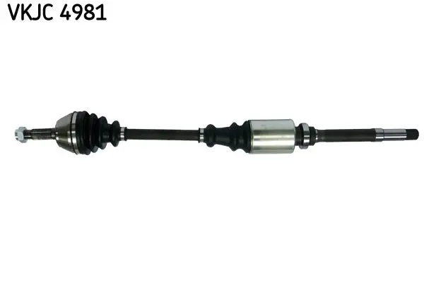 SKF VKJC4981 Вал
